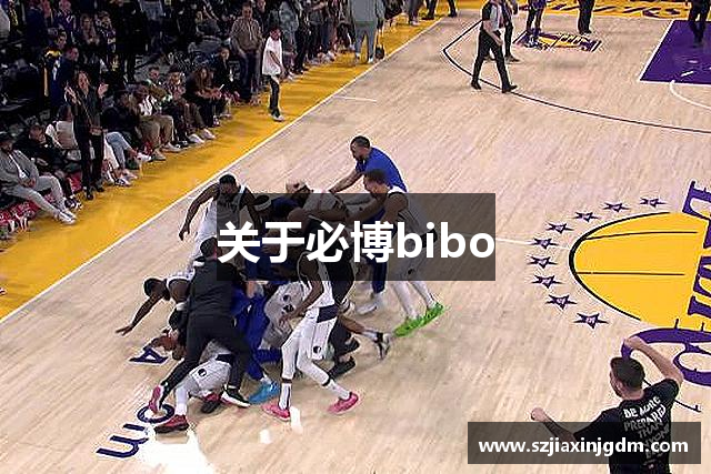 关于必博bibo